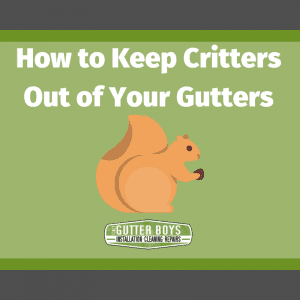 How to Keep Critters Out of your Gutters