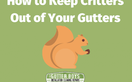 How to Keep Critters Out of your Gutters