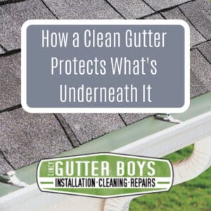 How a Clean Gutter Protects What's Underneath It