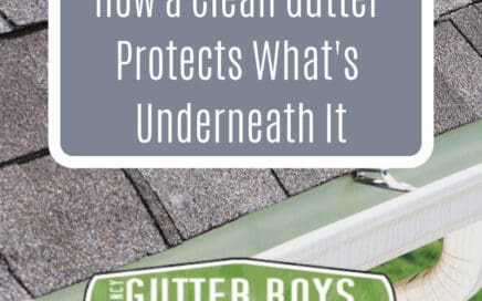 How a Clean Gutter Protects Everything Under It