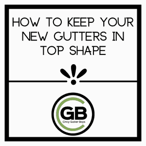 How to Keep Your New Gutters in Top Shape