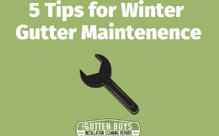 5 tips for Winter Gutter Maintenence