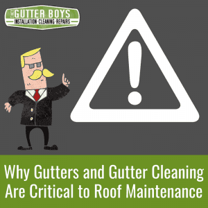 Why Gutters and Gutter Cleaning Are Critical to Roof Maintenance