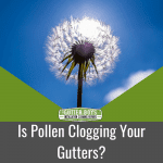 Is Pollen Clogging Your Gutters?