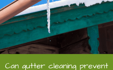 Can gutter cleaning prevent damage