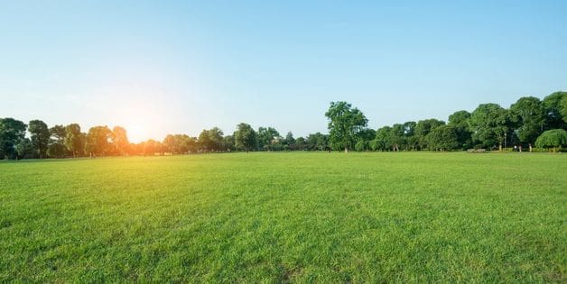 Help to Maintain a Healthy Lawn Help to Maintain a Healthy Lawn