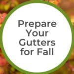 Prepare Your Gutters for Fall