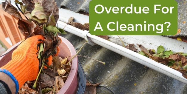 3 Signs Your Gutters Are Long Overdue for A Cleaning