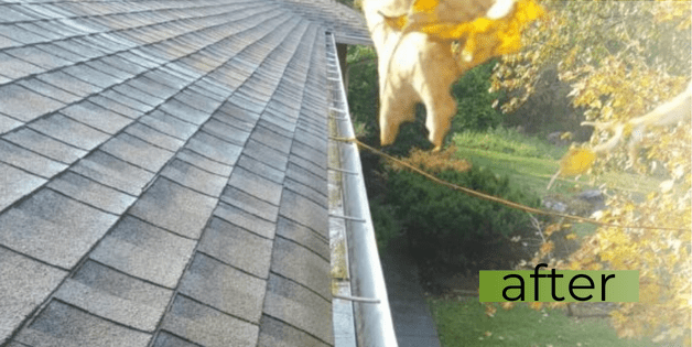 best gutter cleaning in nky