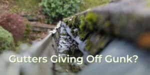 Gutters giving off gunk