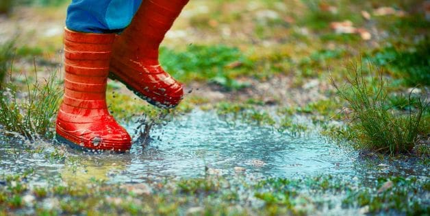 Puddles in Your Yard from Clogged Gutters