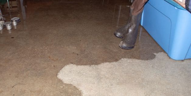 Leaking Gutters Cause Basement Flooding